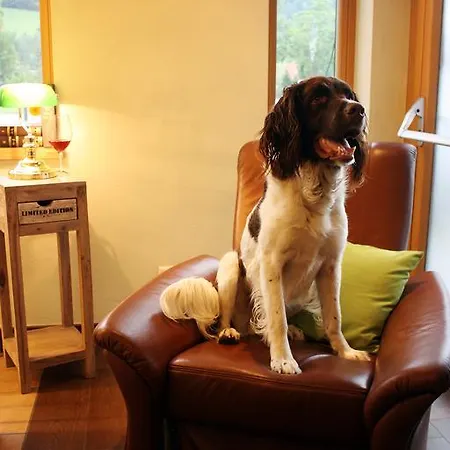 Mitterhofer ホテル