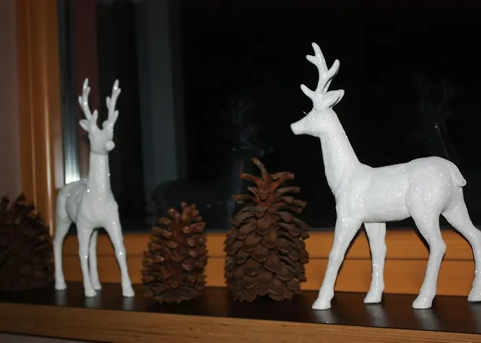 Mitterhofer فندق