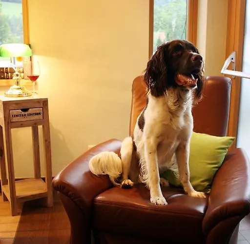 Mitterhofer فندق