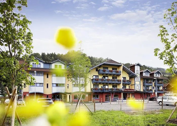 Mitterhofer سخلادميخ